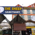 The Sheep Sanctuary